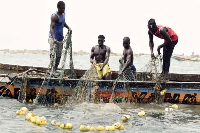 Que faire au Sénégal ?