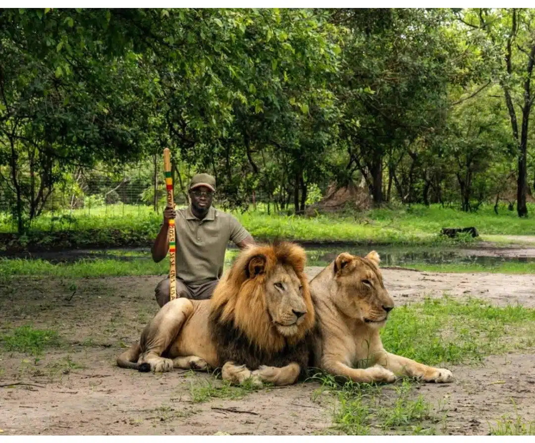 Excursion à la Réserve de Fathala