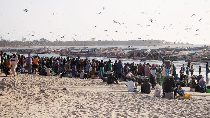 Excursion en Gambie depuis le Sénégal