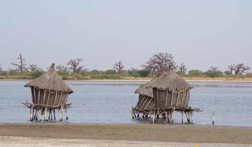 Excursion Îles du Saloum