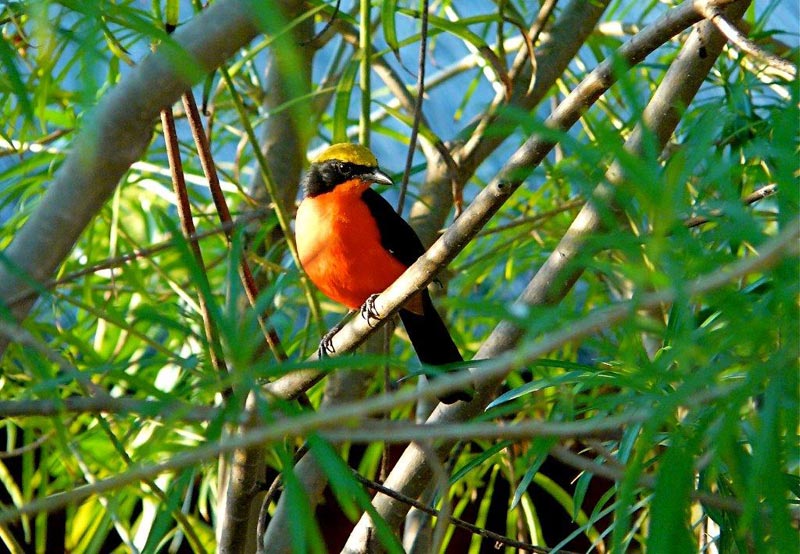 Que faire aux Îles du Saloum