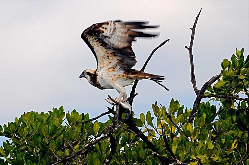 Excursion Îles du Saloum