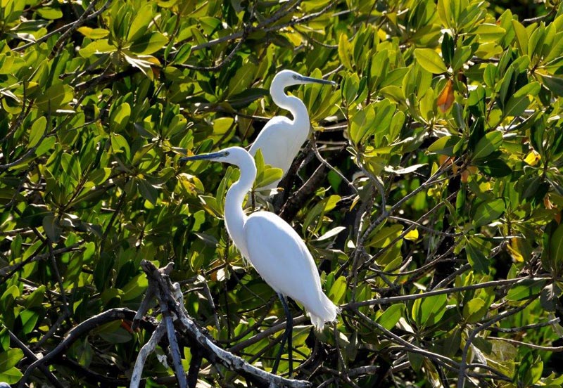 Excursion Îles du Saloum